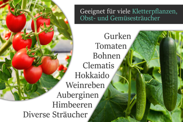 Anwendungsmöglichkeiten des Ranknetzes: Kletterpflanzen, Obst- und Gemüsesträucher