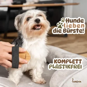 hundebuerste