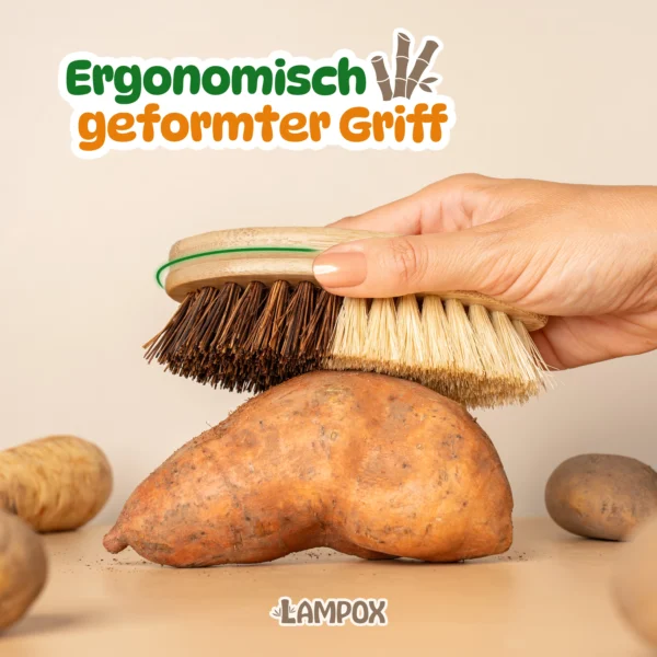 Gemüsebürste – Bild 5